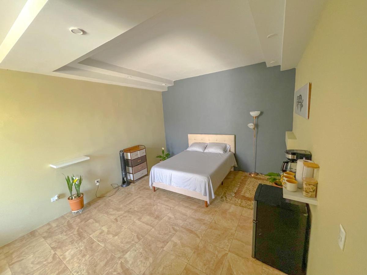Zeus Guesthouse -Free Sjo Airport Shuttle La Garita (Alajuela) Extérieur photo