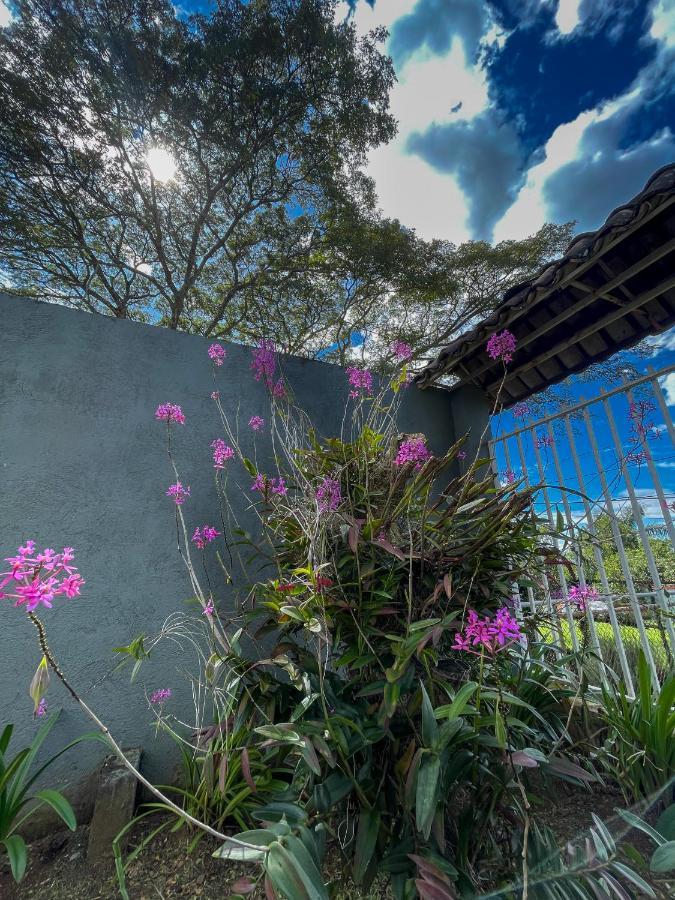 Zeus Guesthouse -Free Sjo Airport Shuttle La Garita (Alajuela) Extérieur photo